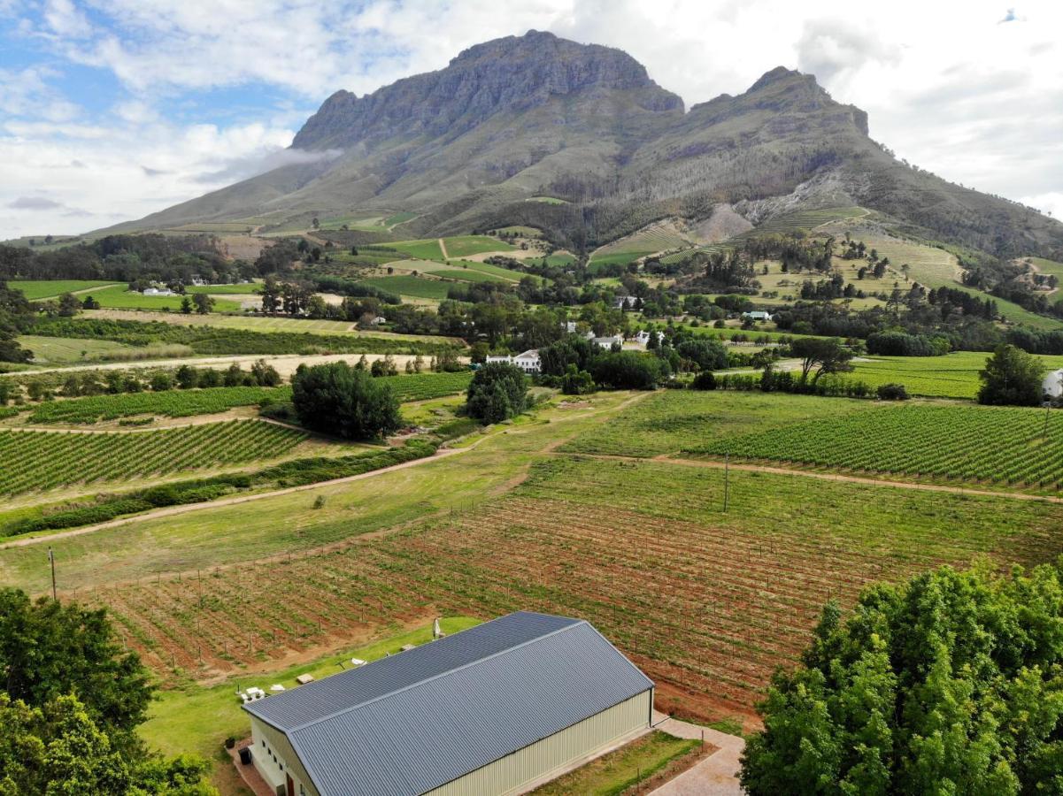 فيلا Le Pommier Wine Estate ستيلينبوش المظهر الخارجي الصورة