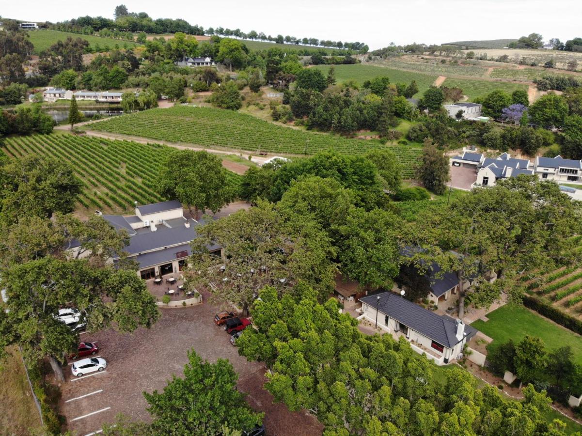 فيلا Le Pommier Wine Estate ستيلينبوش المظهر الخارجي الصورة